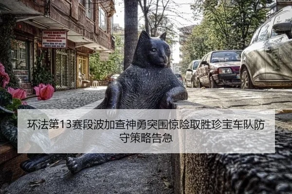 huan-fa-di-sai-duan-bo-jia-cha-shen-yong-tu-wei-jing-xian-qu-sheng-zhen-bao-che-dui-fang-shou-ce-lve-gao-ji-2-457.jpg