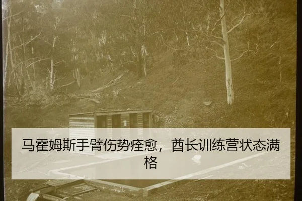 马霍姆斯手臂伤势痊愈，酋长训练营状态满格