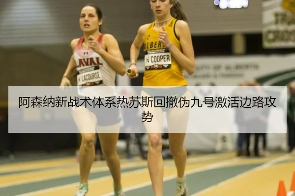a-sen-na-xin-zhan-shu-ti-xi-re-su-si-hui-che-wei-jiu-hao-ji-huo-bian-lu-gong-shi-3-345.jpg
